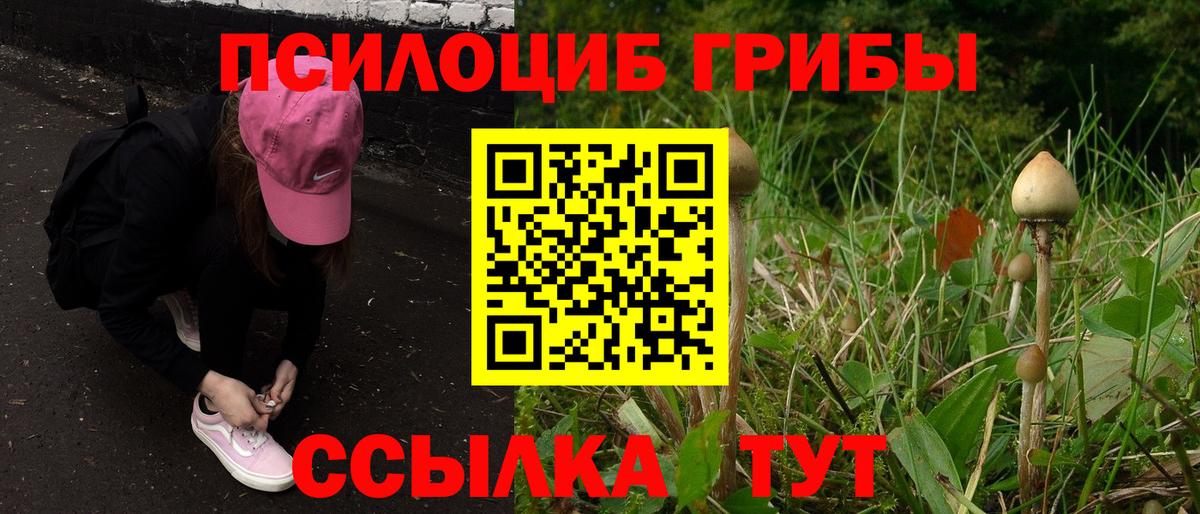 Галлюциногенные грибы MAGIC MUSHROOMS  Вход с VPN  Холмск 