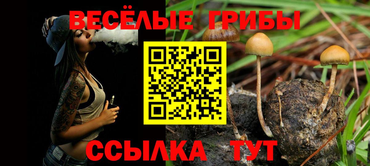 Псилоцибиновые грибы прущие грибы Холмск